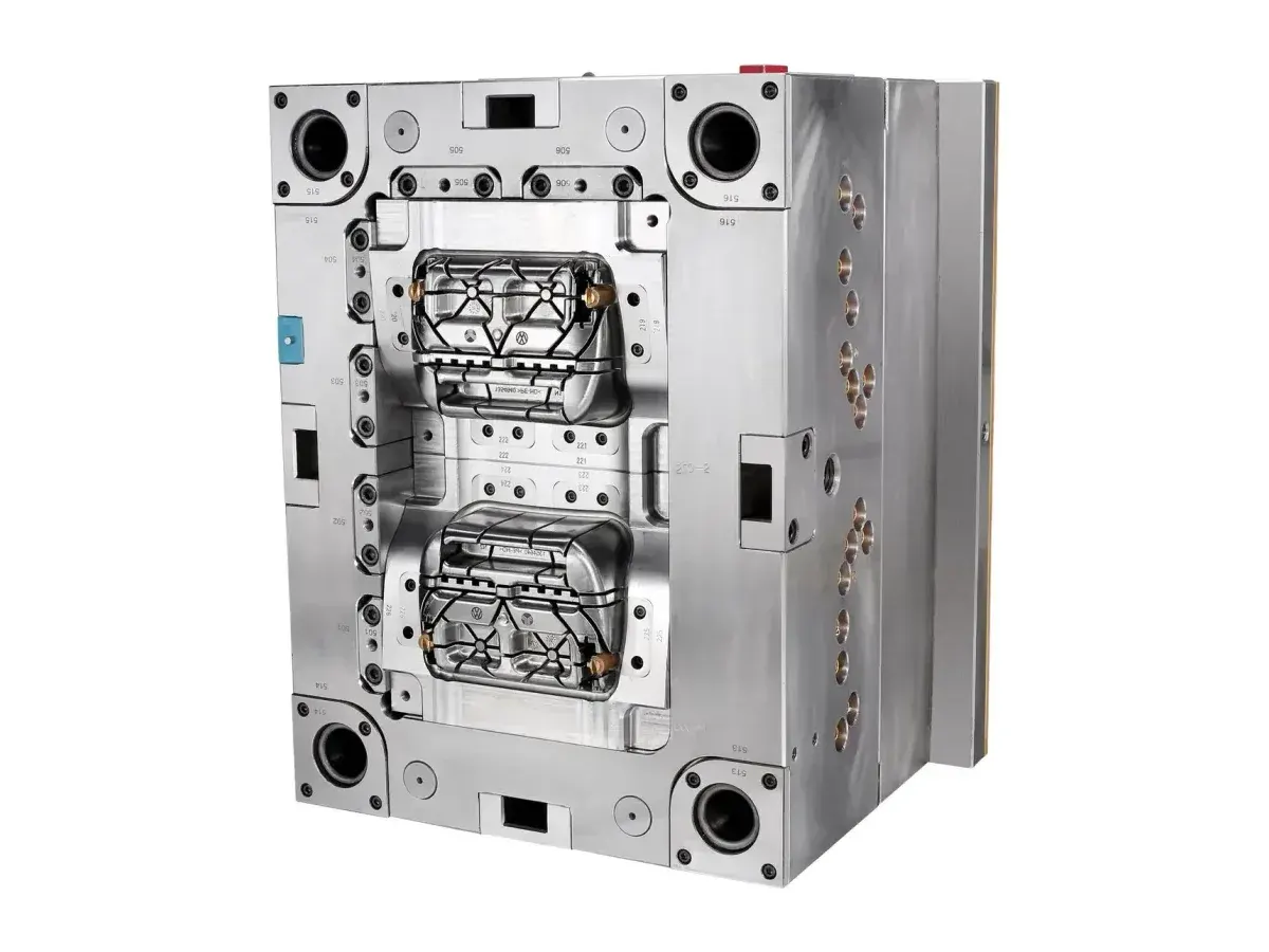 DYS precision two-cavity injection mold