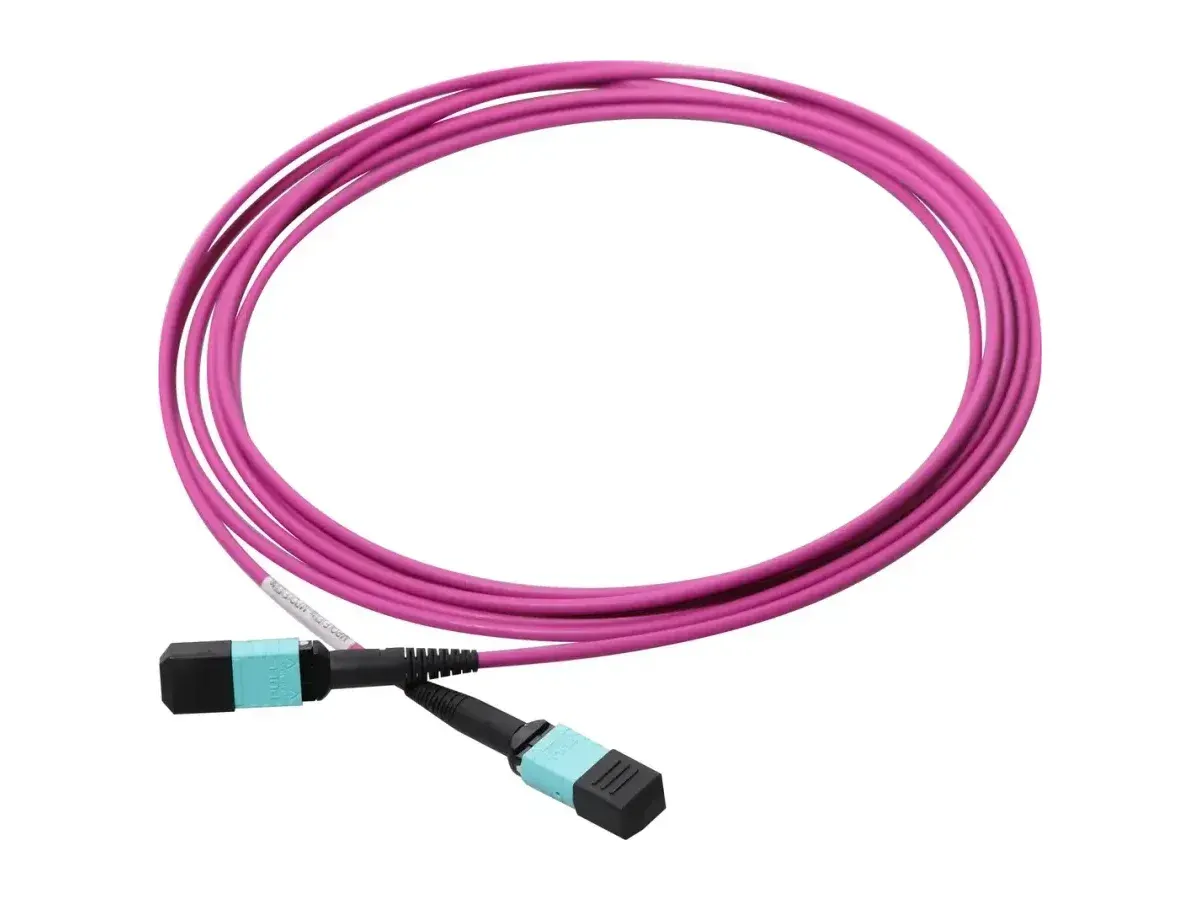 DYS 24F OM4 multimode MPO trunk cable