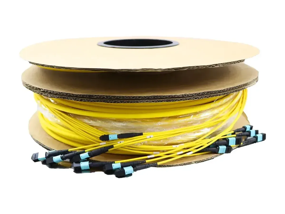 DYS 96F single-mode MPO trunk cable